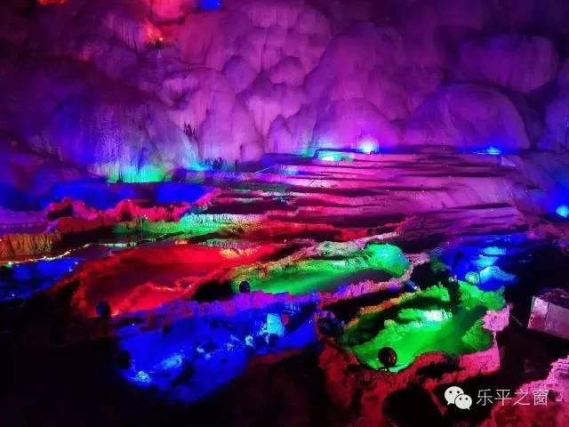 救援贪玩的大象