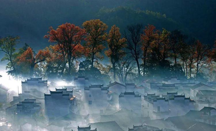 延安黄龙：守护森林资源 绘就生态画卷