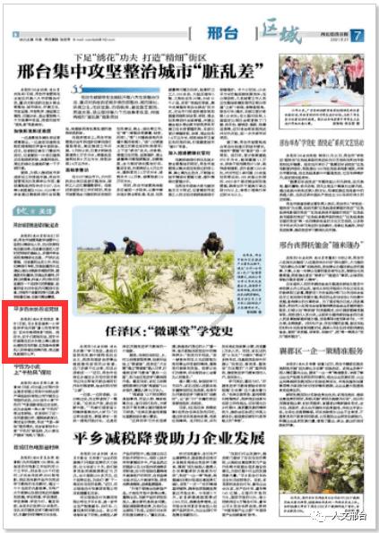 “A股不死鸟”保壳之战