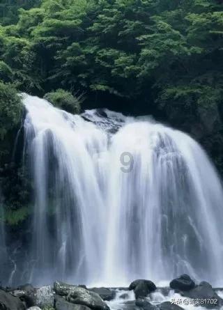 史小坑的爆笑生活11