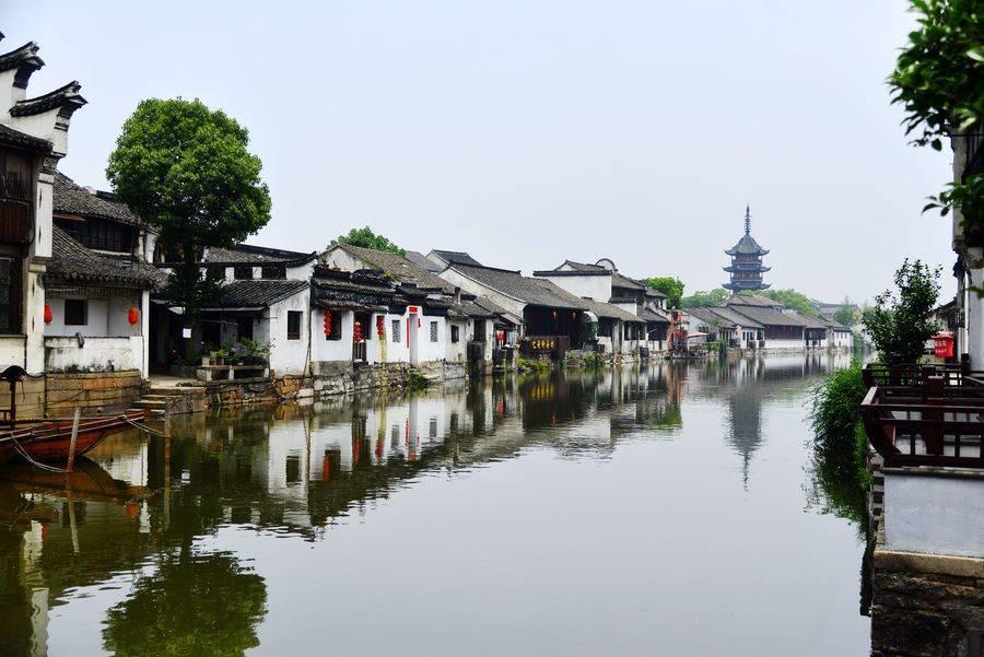 拯救精灵的土地6